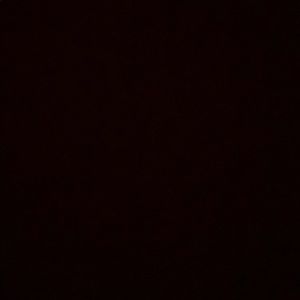 Meet your Posher, Colin